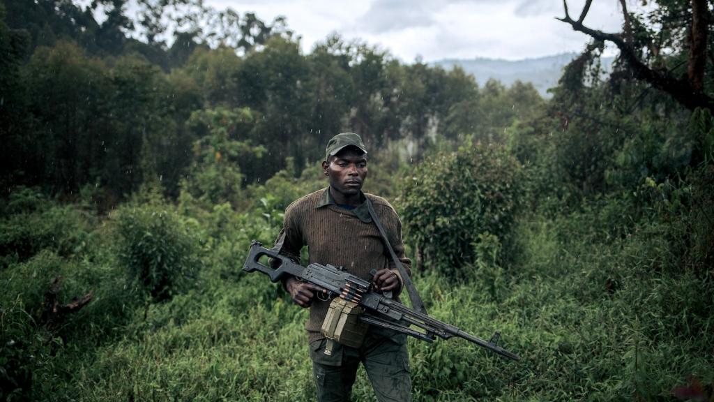 Fortress Conservation Can a Congo Tribe Return to Its Forest?