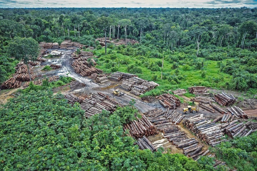 Environment and health: a connection that remains unseen in the Climate ...
